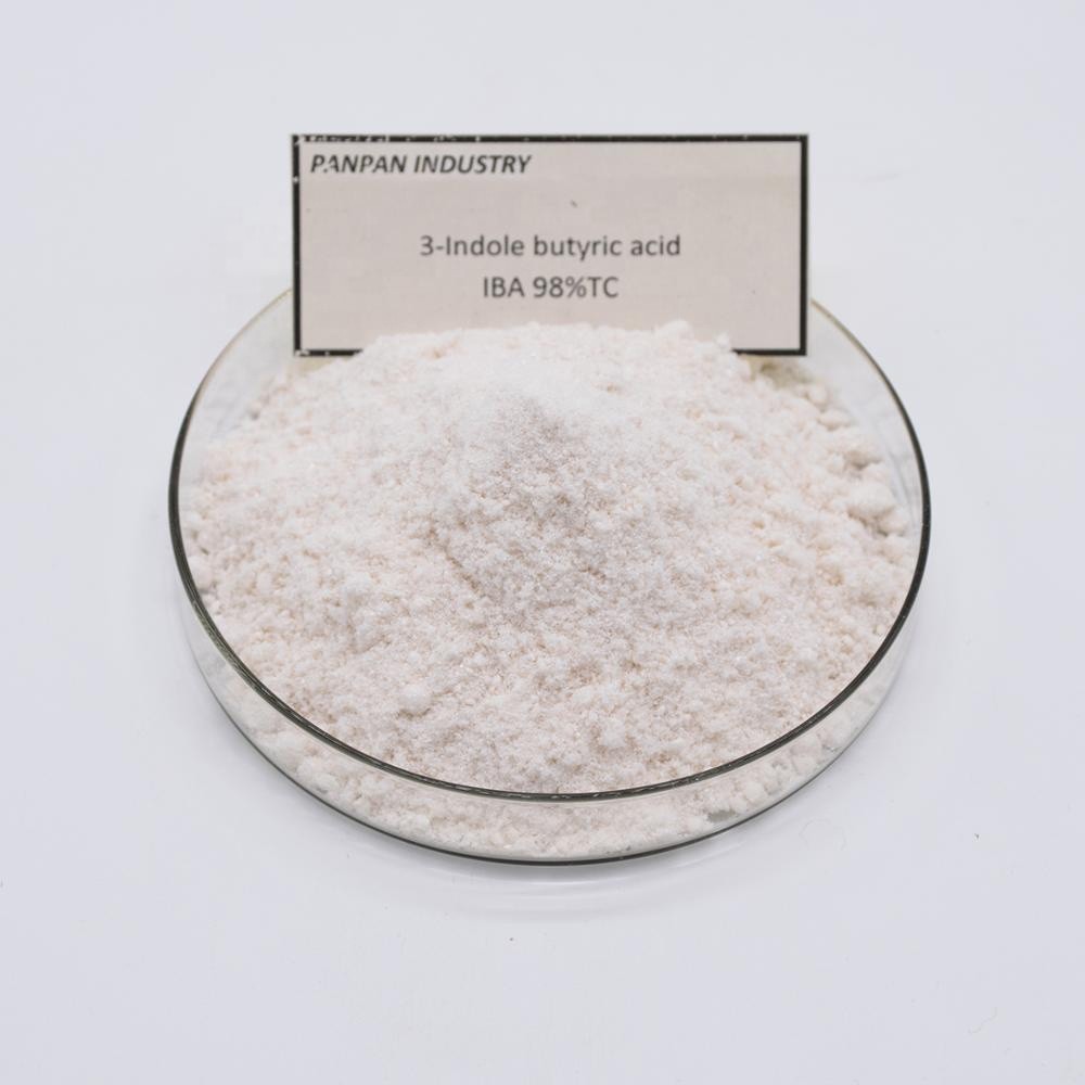 Siêu kích rễ IBA 98%  Túi 50gr
