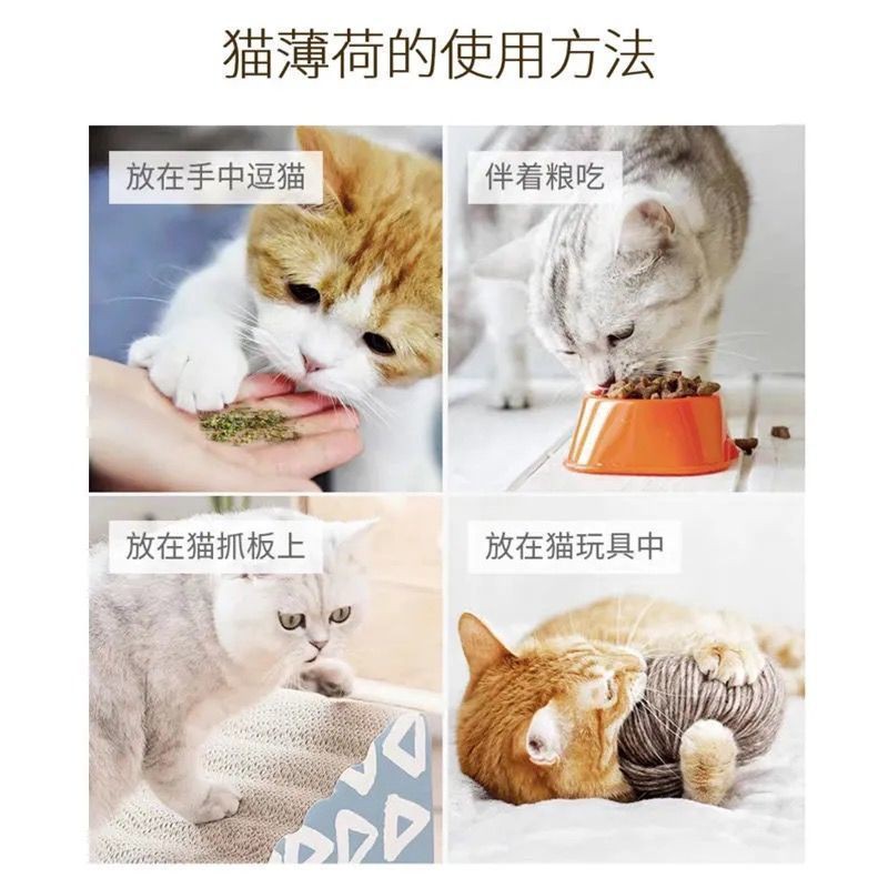 【Sẵn sàng giao hàng】 thức ăn cho mèo đồ ăn cho mèo> [mua hai tặng một] Cat Mint Ăn Mèo Khiếu nại Maohi Trẻ em