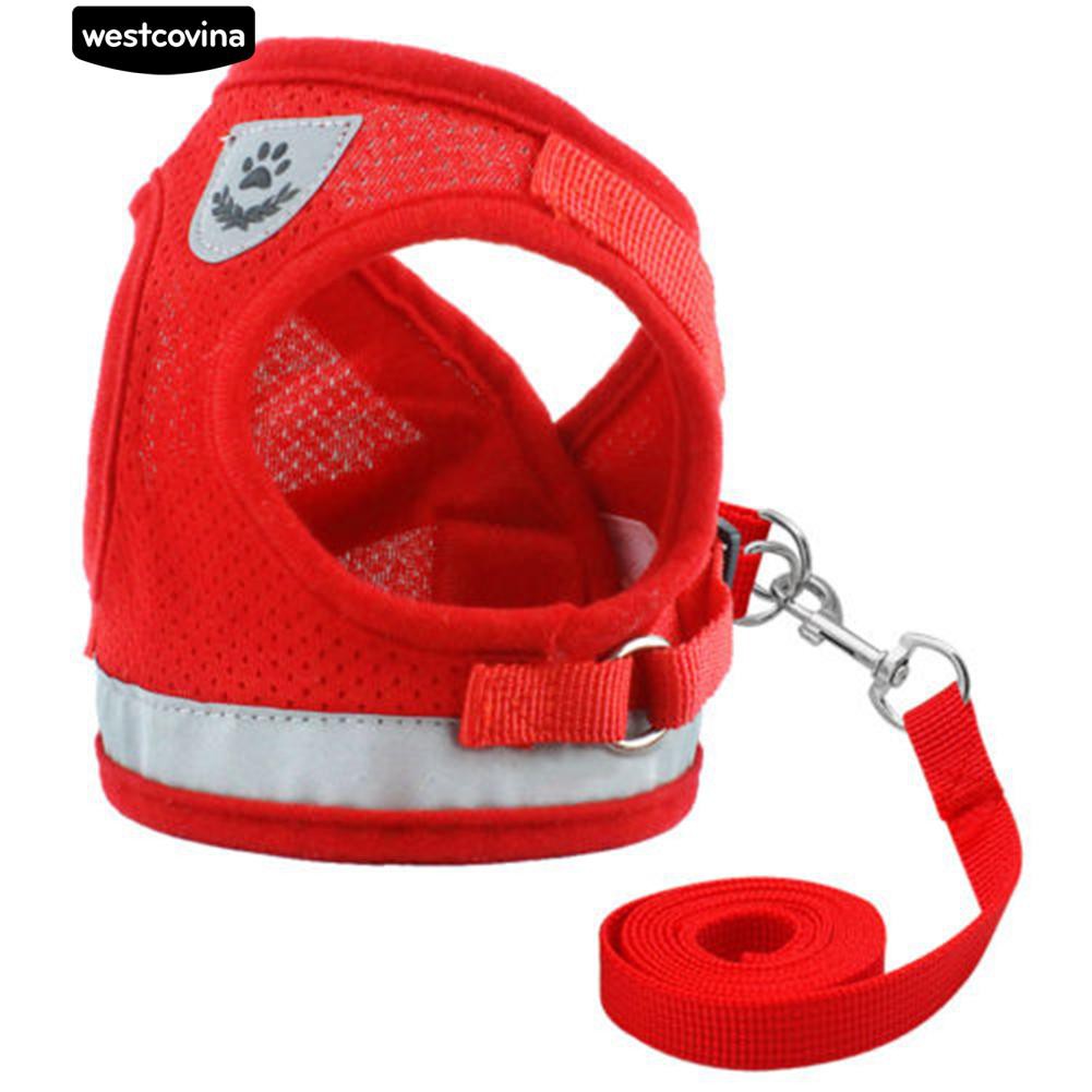 Dây Dắt Thú Cưng Đi Dạo Có Thể Điều Chỉnh Được