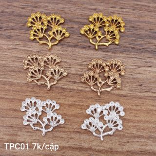 Giáo Dục Kỹ Năng Sống Cho Trẻ - Cây Tùng Nhỏ