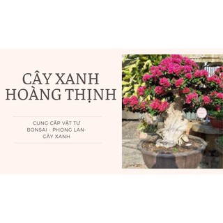 Phân trùn quế cao cấp dạng viên nén