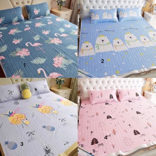 Chiếu Điều Hoà TENCEL sale Gấp 🆘🆘🆘