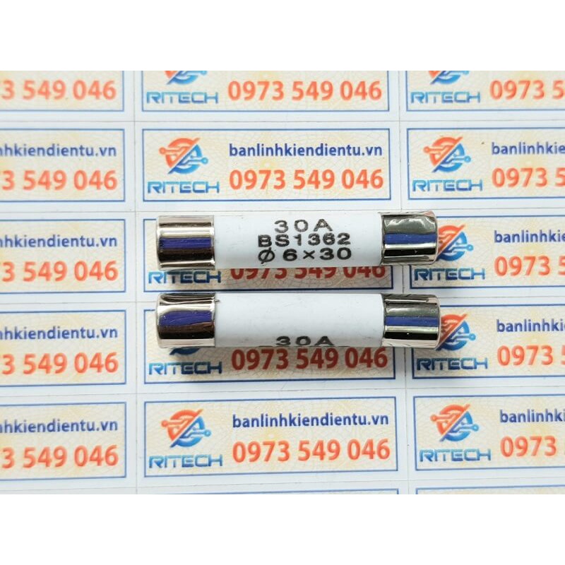 [ Combo 10 chiếc] Cầu chì sứ R058 30A 250V BS1362 6X30MM