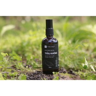 Hydrosol lá trầu không