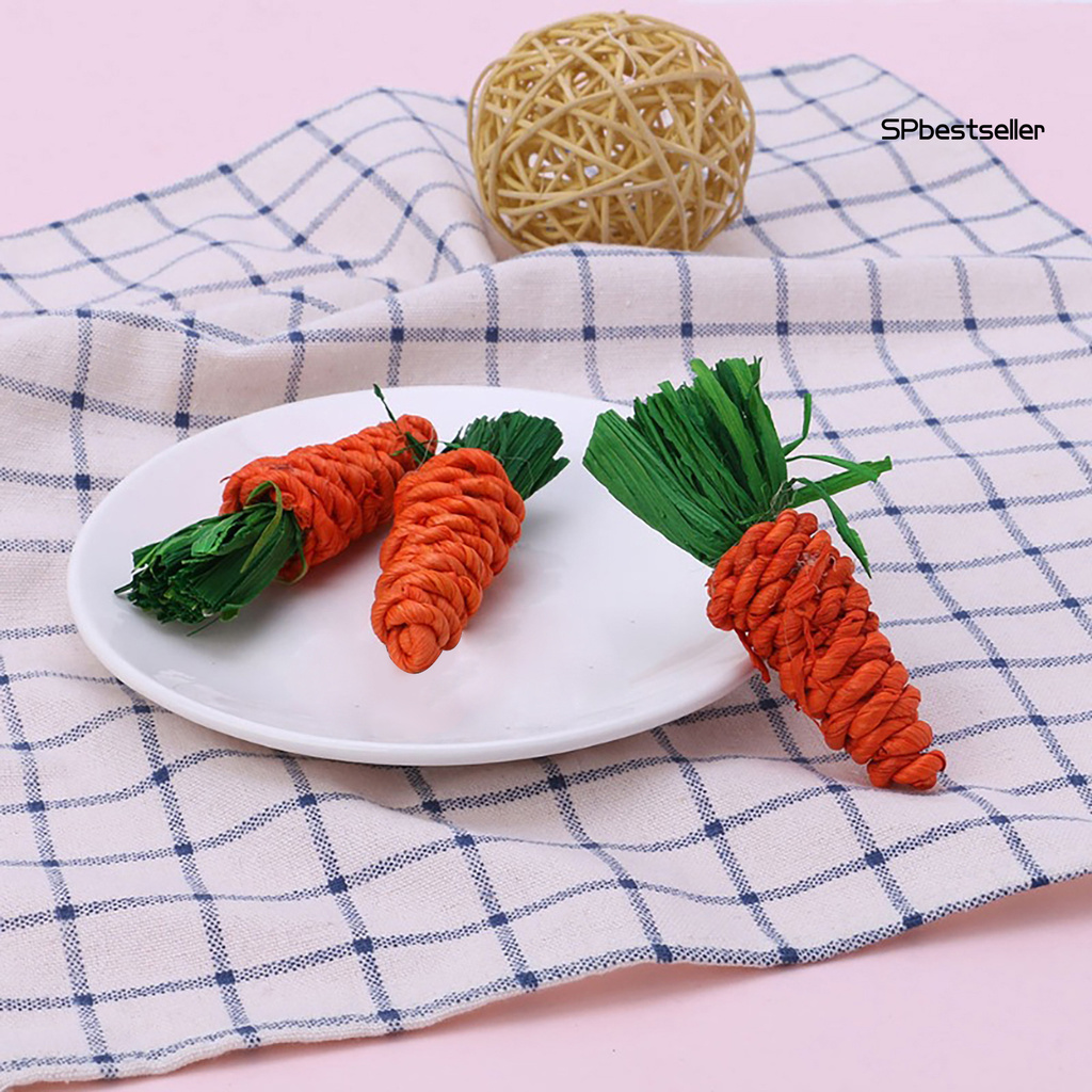 3 Cà Rốt Đồ Chơi Cho Thú Cưng