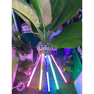 TUÝP LED MÀU 6 TẤC (không kèm chân đế)