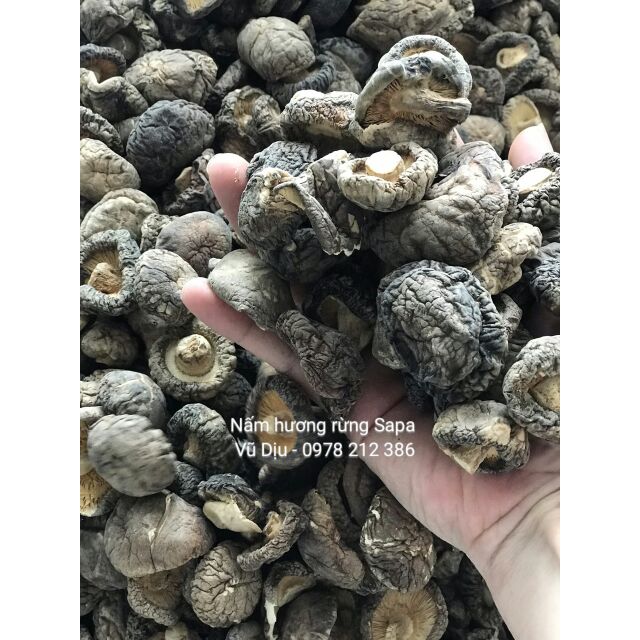 NẤM HƯƠNG RỪNG - SAPA 300gr