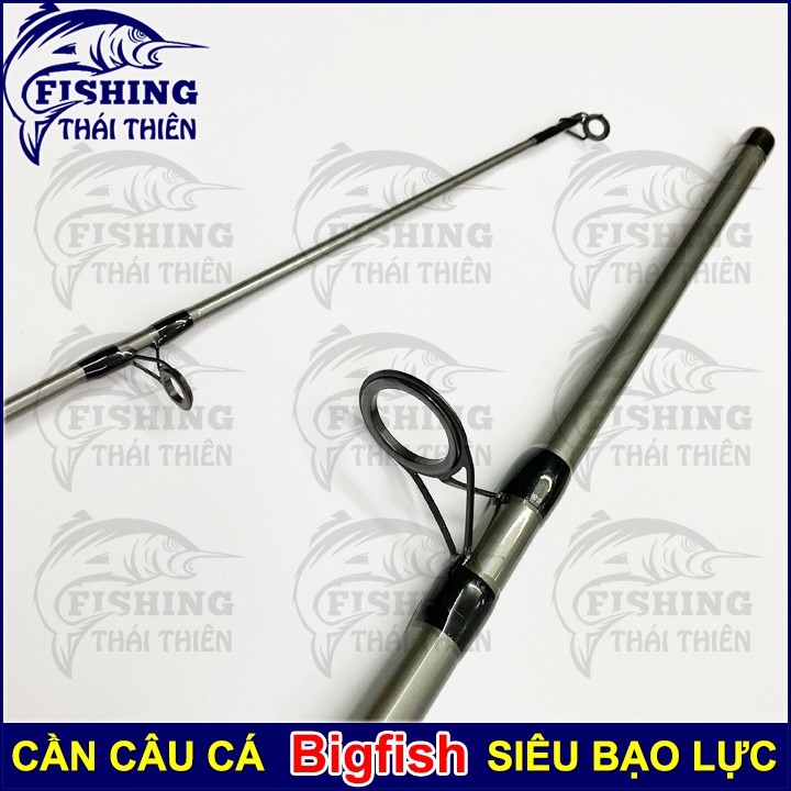 Cần câu cá Bigfish 2m4 cần rỗng chuyên câu bạo lực
