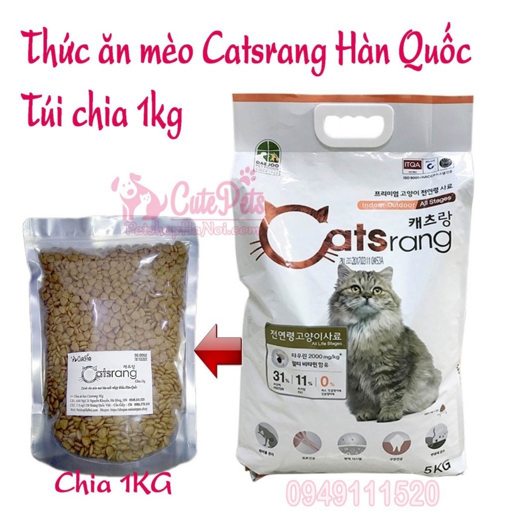 thức ăn cho mèo casrtrang túi chia 1 kg
