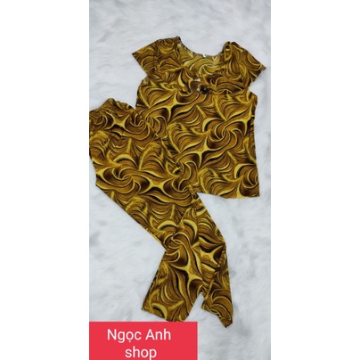 Bộ tay ngắn quần dài thun solen nhung,lạnh hàn ,aty loại 1