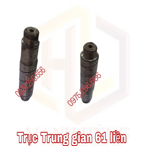 Trục Trung gian 61 liền