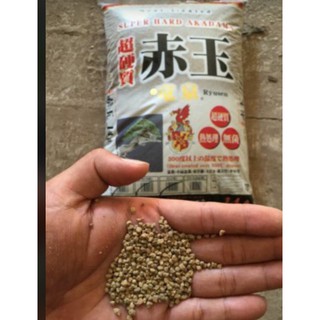 Đất nền Akadama, đất sét nhật ( bán lẻ 1kg) [ Sale ]