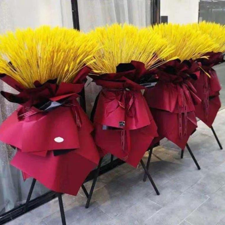 BÔNG LÚA MẠCH VÀNG sấy khô BÓ 100 Bông-Bông Lúa Mạch Thần Tài Sấy Khô Bền Đẹp Không Tàn