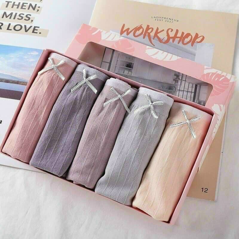 Hộp 5 quần lót nữ thiên nga, quần chip nữ cute, cotton co giãn 4 chiều kháng khuẩn, ôm sát thoải mái.