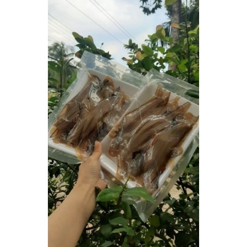 Khô cá lưỡi trâu 3 nắng ngon ạ