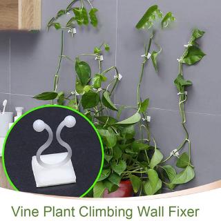 Set 10 Kẹp Giữ Cây Leo Gắn Tường Vô Hình Trang Trí Nhà Cửa