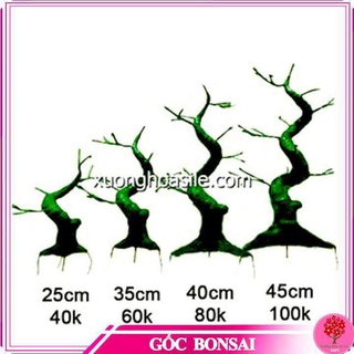 GỐC BONSAI GIẢ