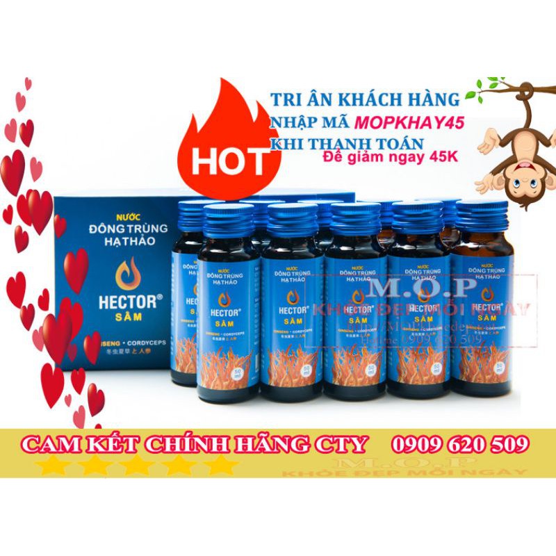 (CHÍNH HÃNG) Combo 02 hộp Đông Trùng Hạ Thảo Hector Sâm (10 chai/ hộp) | BigBuy360 - bigbuy360.vn