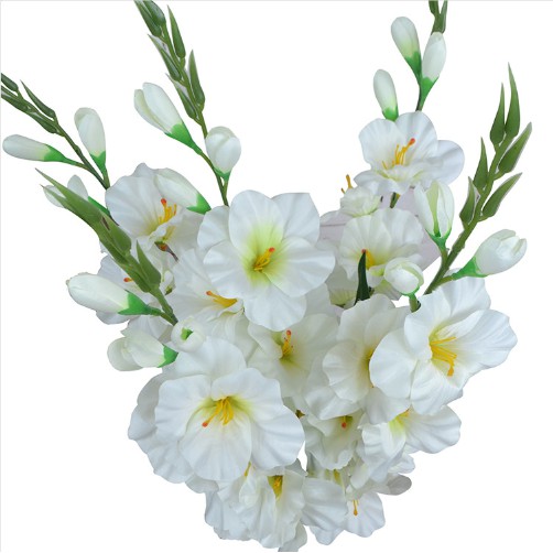 HOA KIẾM LAN Gladiolus VẢI LỤA CÀNH DÀI 80CM LIZ95