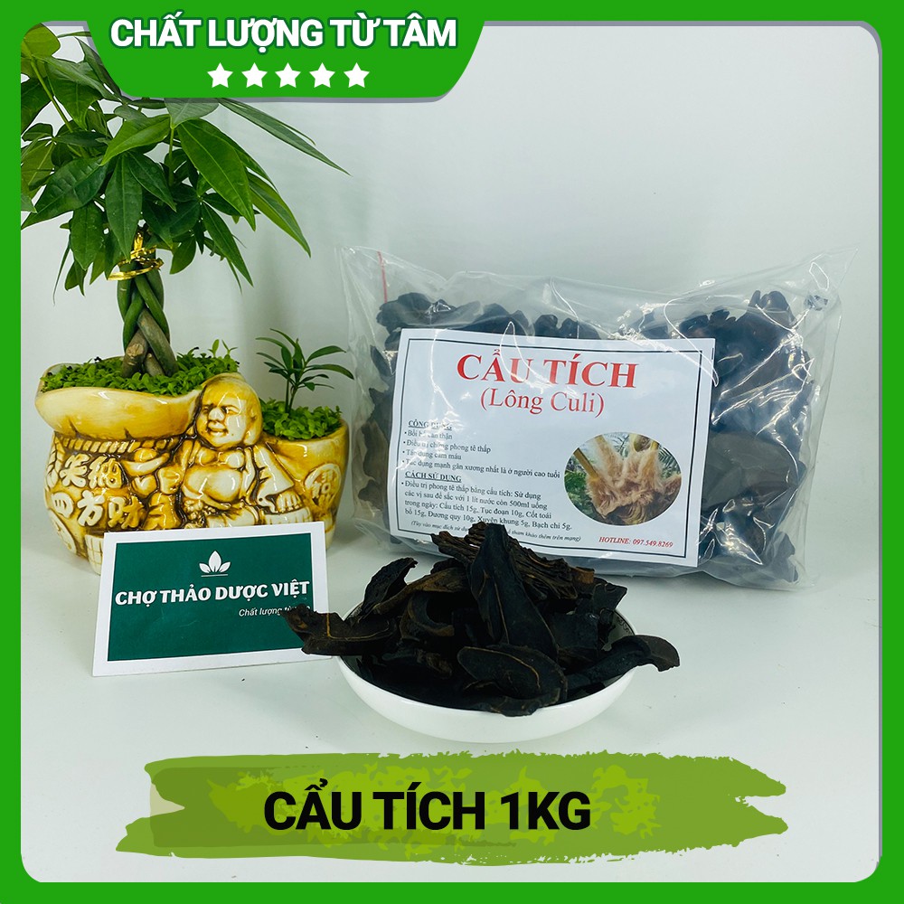 1kg Cẩu tích đã sơ chế ( Cây lông culi) - Chợ Thảo Dược Việt