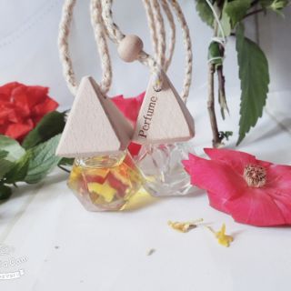 Tinh dầu treo oto,hương sả chanh,quế,bạc hà
