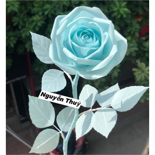 Giấy can làm hoa 70x100cm