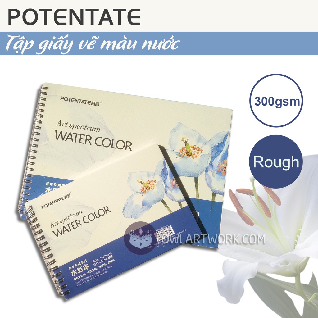 Sổ Vẽ Màu Nước Hoa Xanh Trắng Potentate 300gsm - Rough