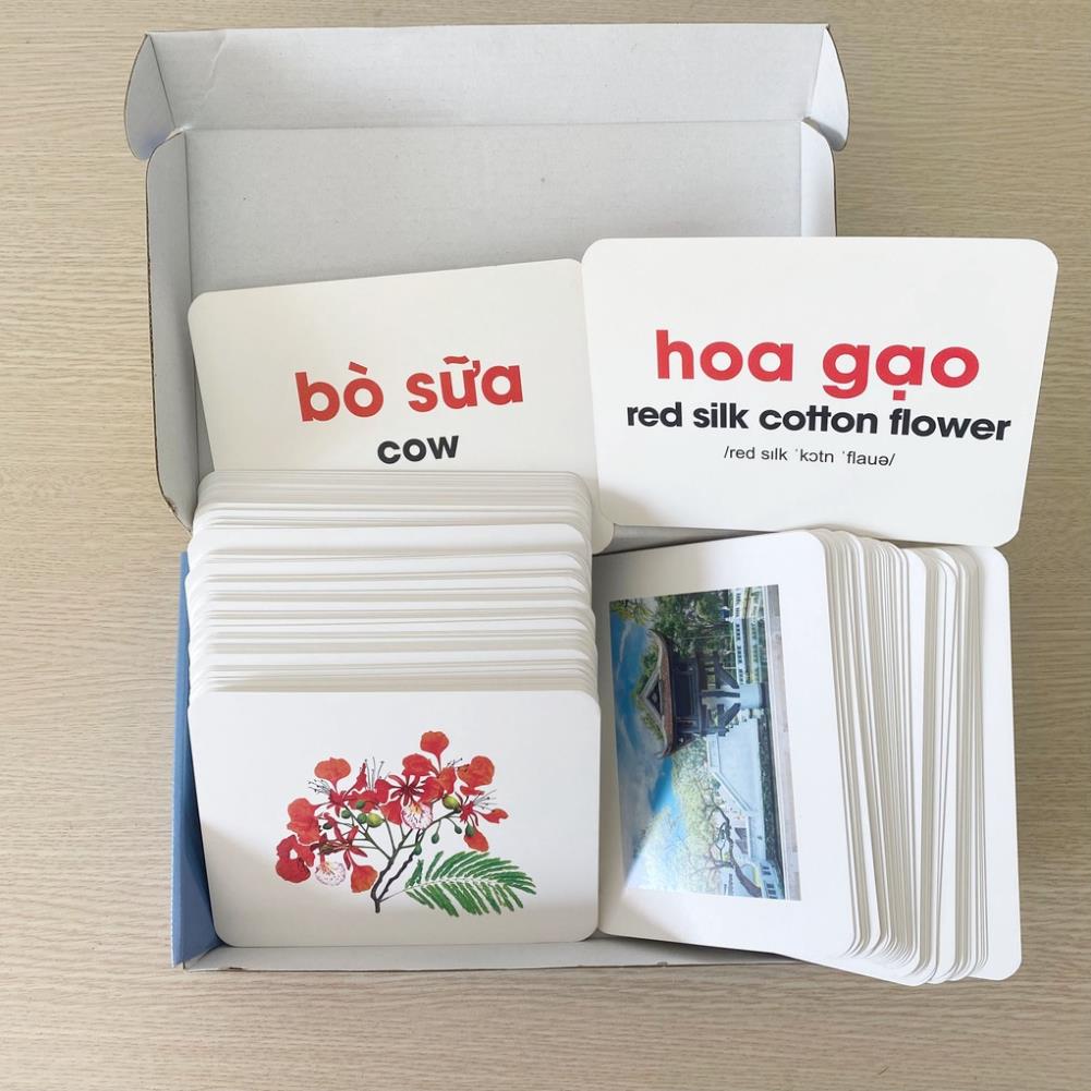 Flashcard cho bé - Bộ 200 thẻ học thông minh Glenn Doman Thế Giới Xung Quanh - Song ngữ (0 - 6 tuổi)