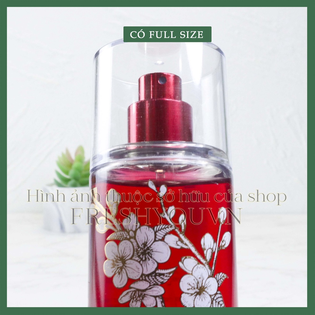 Japanese Cherry Blossom - Xịt thơm toàn thân body mist khác Bath & Body Works  - fresh you