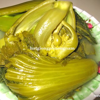 Hạt giống cải bẹ dưa