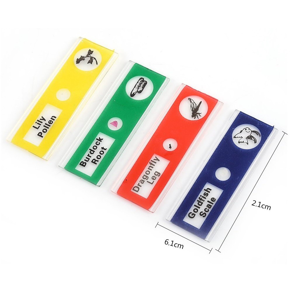 Bộ 12 tiêu bản có sẵn cho kính hiển vi gồm tiêu bản động vật, tiêu bản côn trùng, tiêu bản thực vật