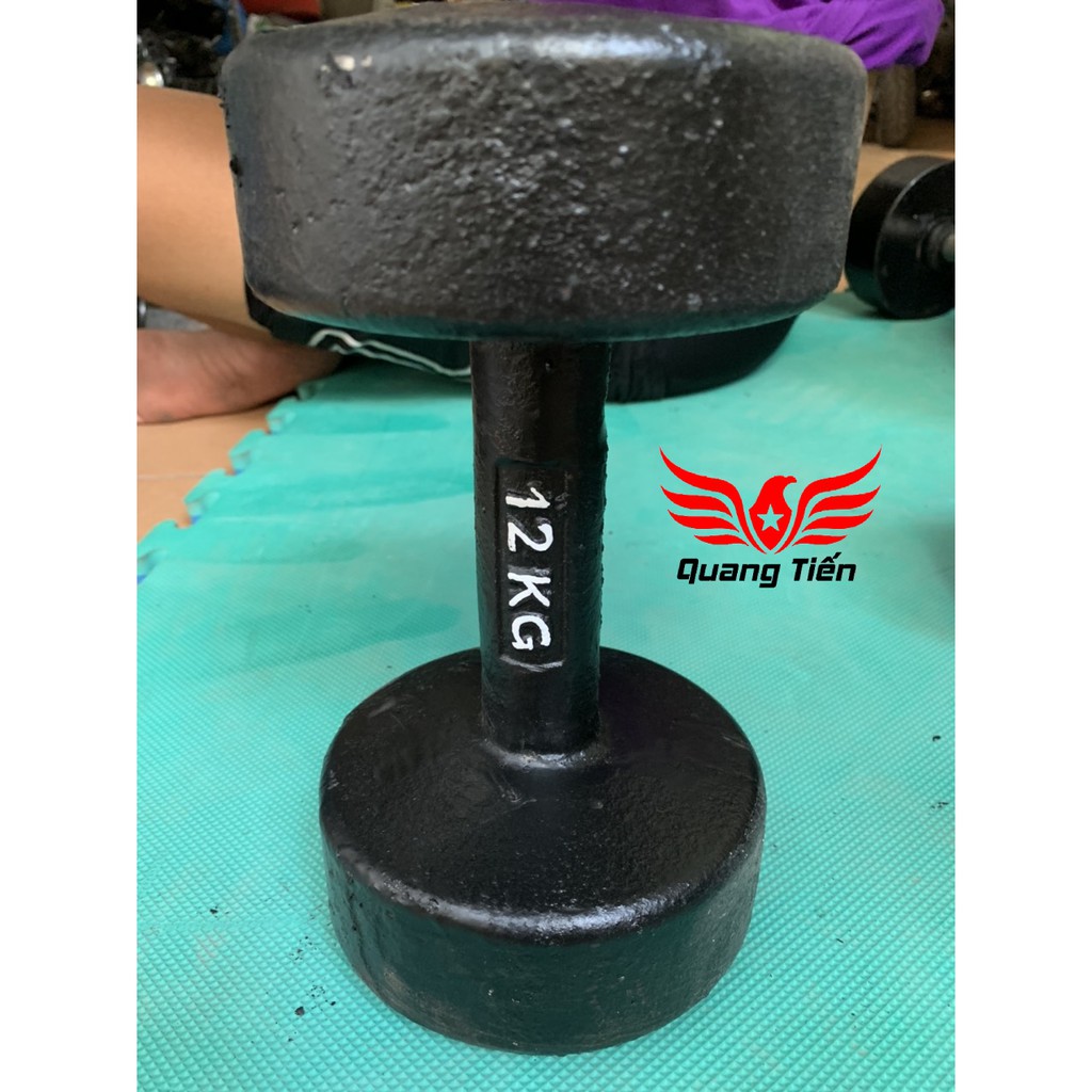 Tạ tay gang đúc loại đẹp 2022 18kg (giá 1 quả)