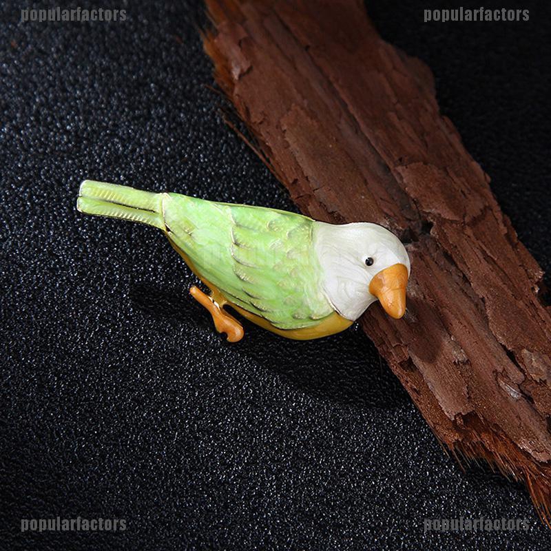 Chú Chim Độc Đáo