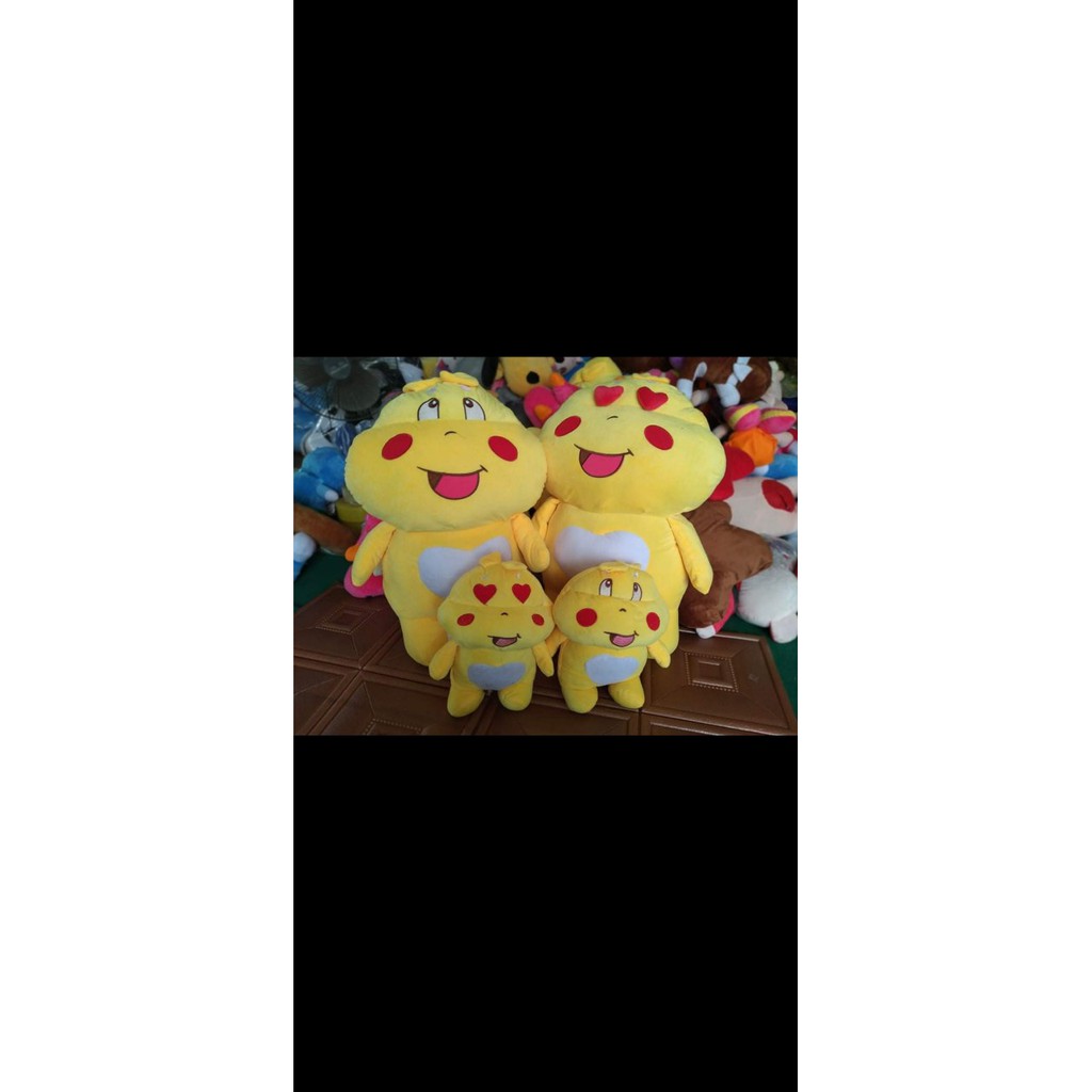 Gấu ong mắt tim - ong to