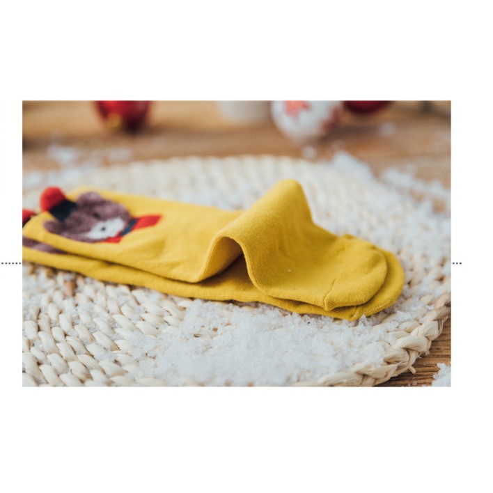 Tất Nữ Dễ Thương Làm Quà Tặng Tết 2022 - 4 đôi Gấu Khác Màu