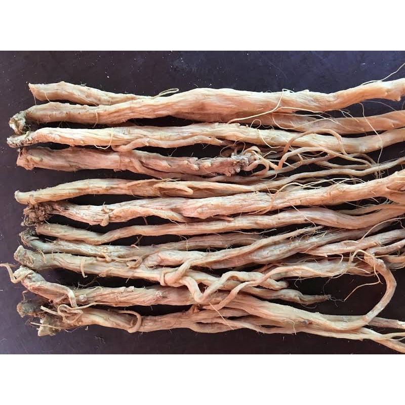 NGƯU TẤT NAM loại 1