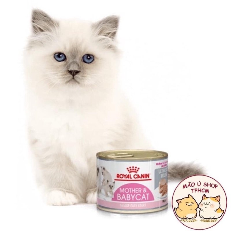 PATE ROYAL CANIN MOTHER &amp; BABYCAT-LON 195g