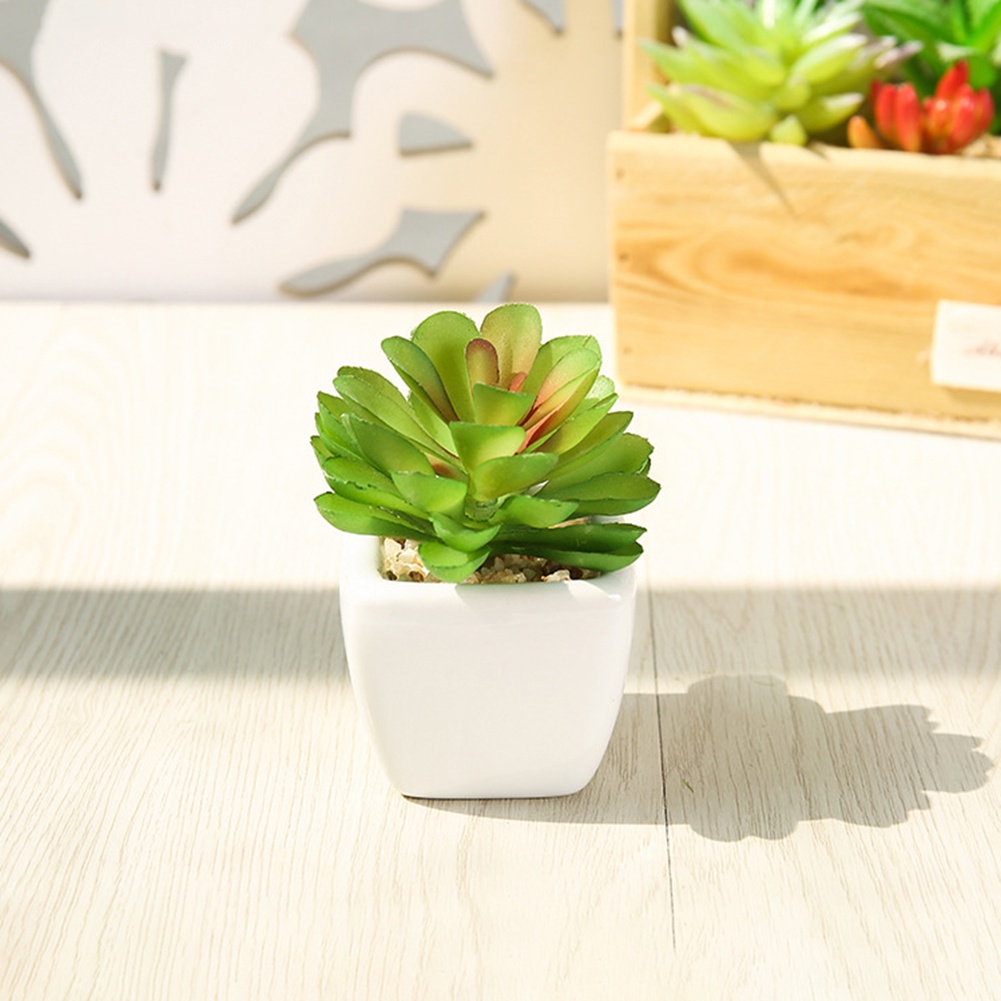 Chậu Cây Bonsai Giả Để Bàn Trang Trí Văn Phòng / Ban Công