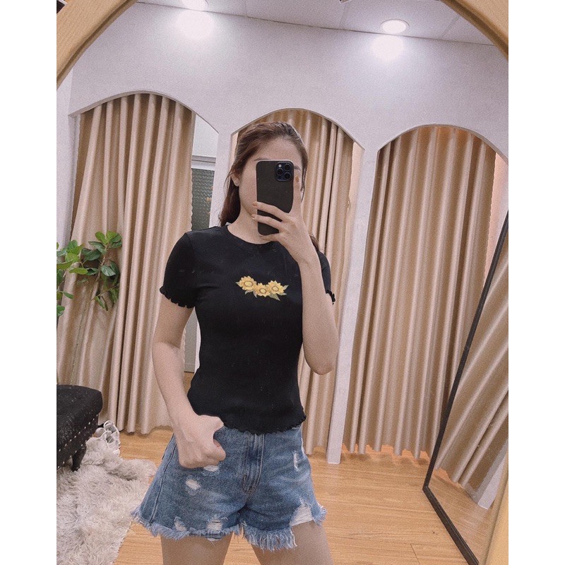 Áo Pull Xuất Xịn