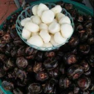 Sỉ 5kg củ năng vỏ hỏa tốc cho các tiệm trà sữa, nấu chè
