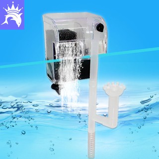 Lọc thác kèm lọc váng cho hồ cá thủy sinh