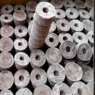 Combo 10 viên nén ươm hạt-viên nén sơ dừa