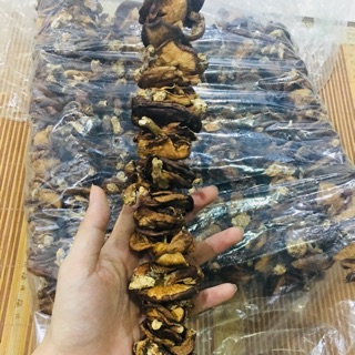 Nấm Hương rừng