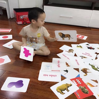 Bộ Flash Card