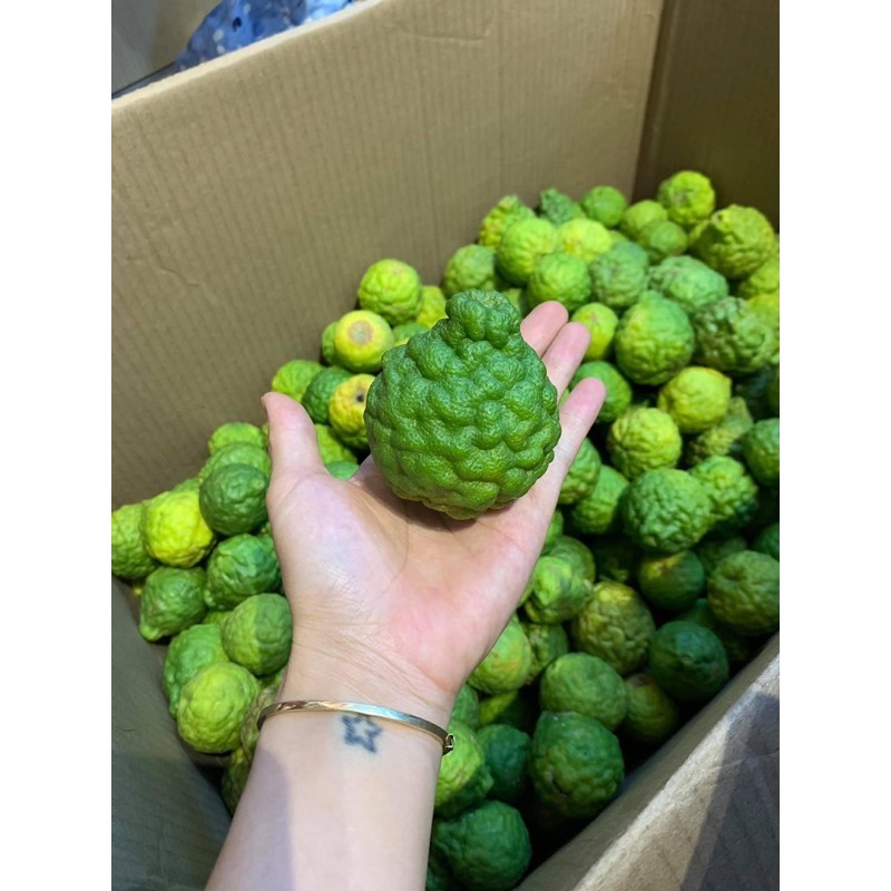 SIRO CHANH THÁI MẬT ONG + ĐƯỜNG PHÈN + HOA MUỐI DATE 5/2024