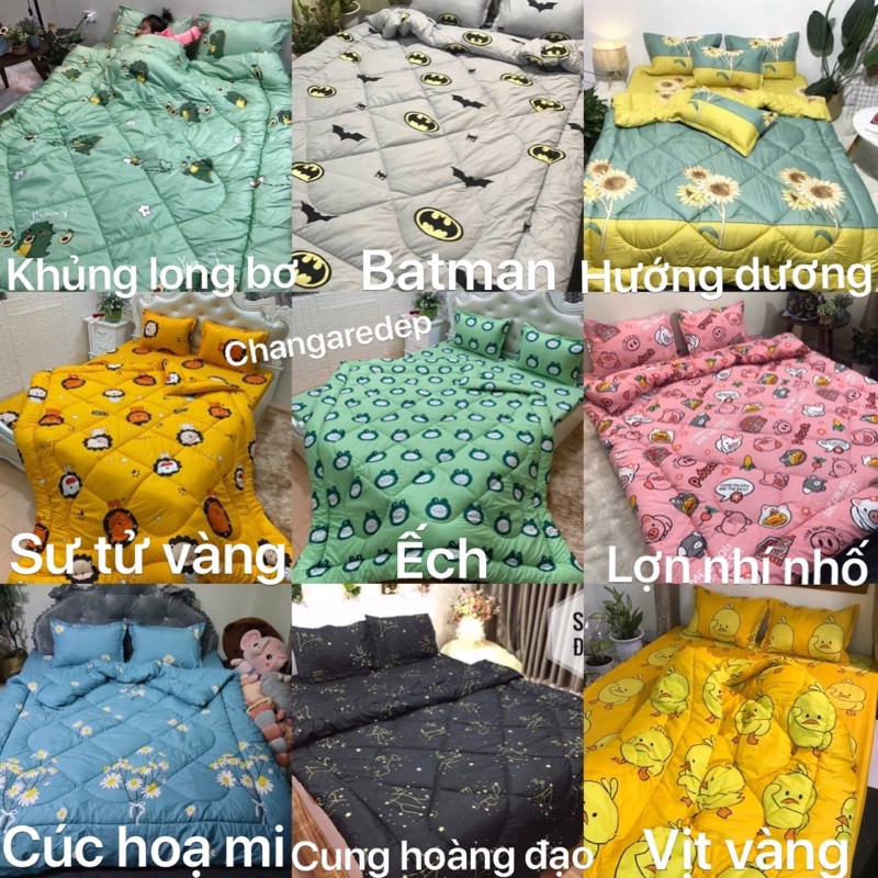 Xả kho Ga Gối poly giá Sock, được chọn mẫu.