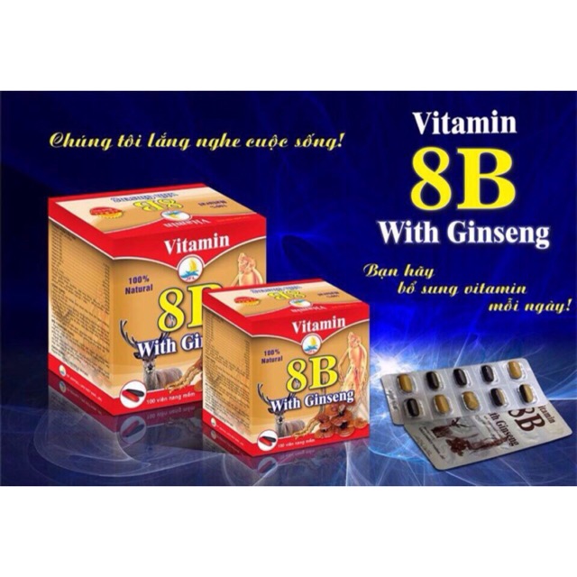 Vitamin 8B Đông Hải