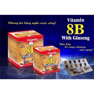 Vitamin 8B Đông Hải