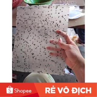Bánh tráng mè đen 100% bột gạo