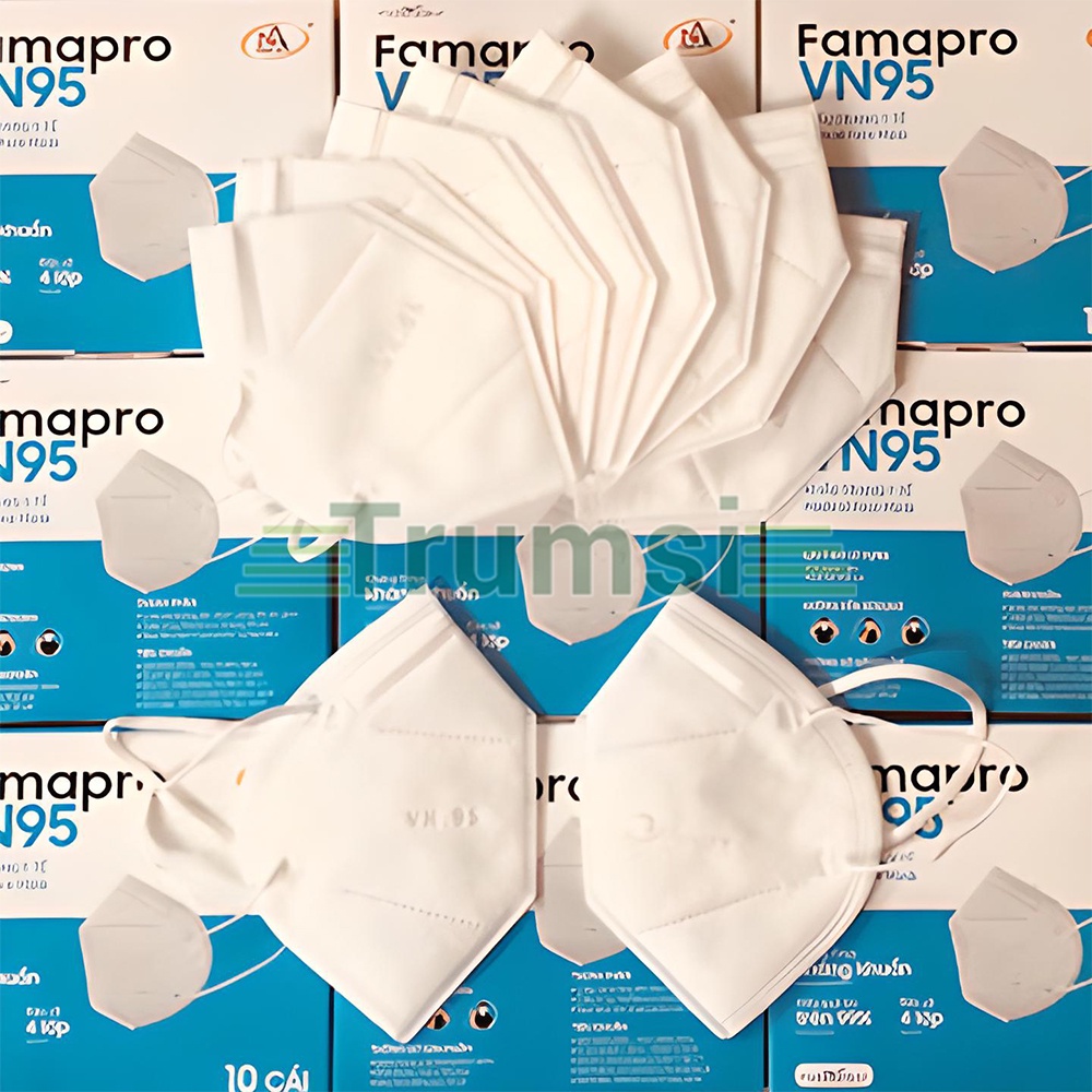 Khẩu Trang Y Tế Famapro VN95 Nam Anh Chính Hãng 4 Lớp Kháng Khuẩn Cao Cấp Hộp 10 Cái